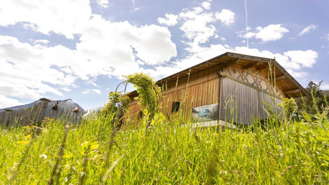 Stubaier Bauern Appartement Telfes im Stubai Eksteriør bilde
